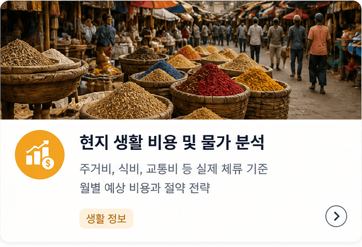 현지 생활 비용 및 물가 분석 주거비, 식비, 교통비 등 실제 체류 기준 월별 예상 비용과 절약 전략 생활 정보