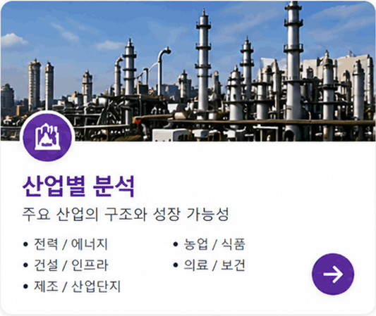 산업별 분석 • 전력 / 에너지 • 건설 / 인프라 • 제조 / 산업단지 • 농업 / 식품 • 의료 / 보건