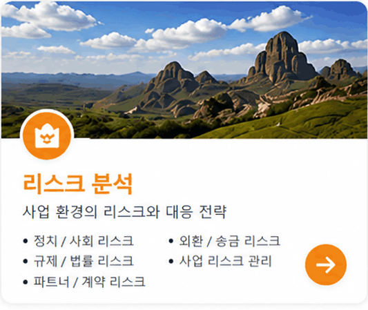 리스크 분석 • 정치 / 사회 리스크 • 규제 / 법률 리스크 • 파트너 / 계약 리스크 • 외환 / 송금 리스크 • 사업 리스크 관리